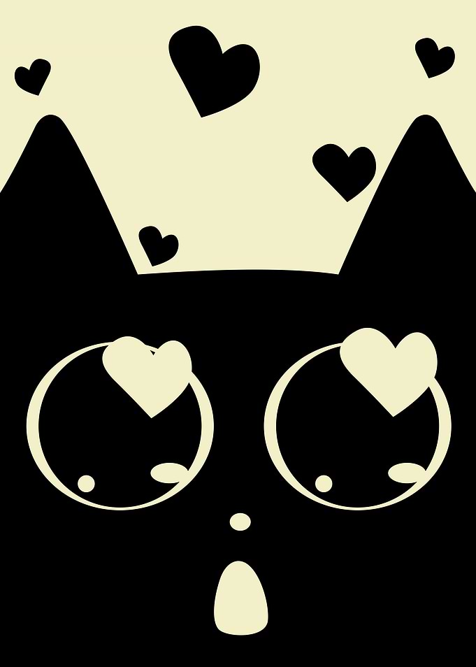 Cat Full of Love