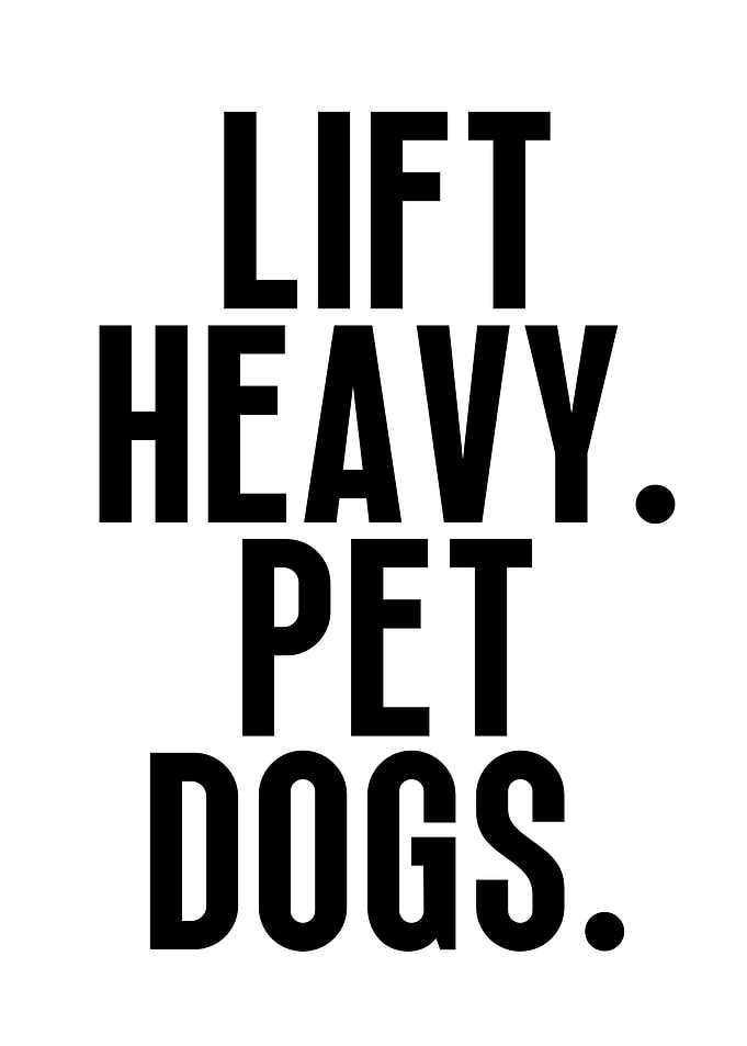 Lift heavy pet dogs