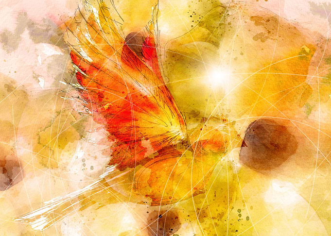 Red bird on abstract