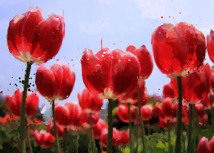 red flower