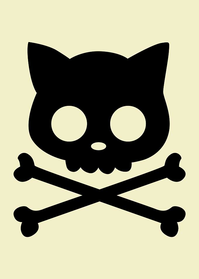 Cat Pirates White