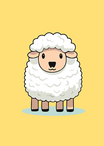 sheep baby animal