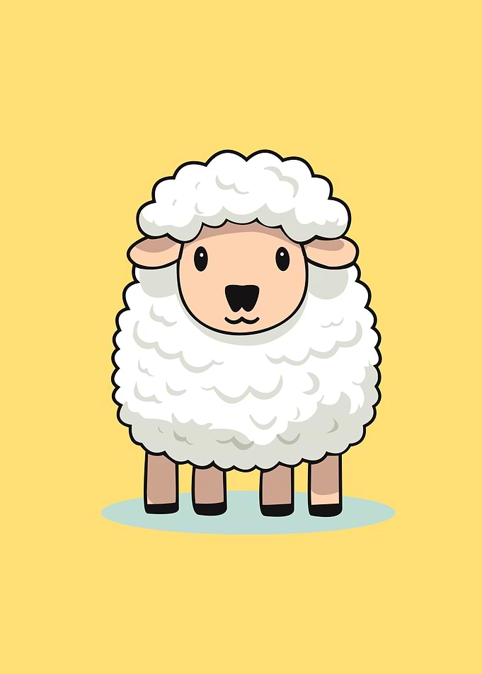 sheep baby animal