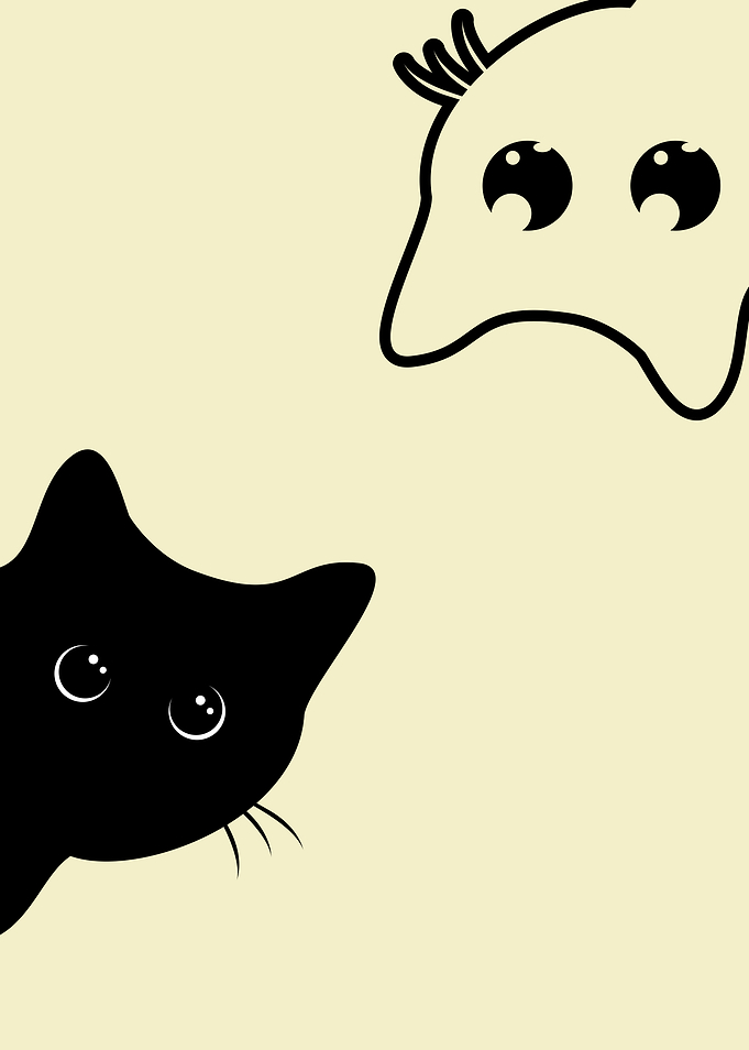 Black and White Cat 4