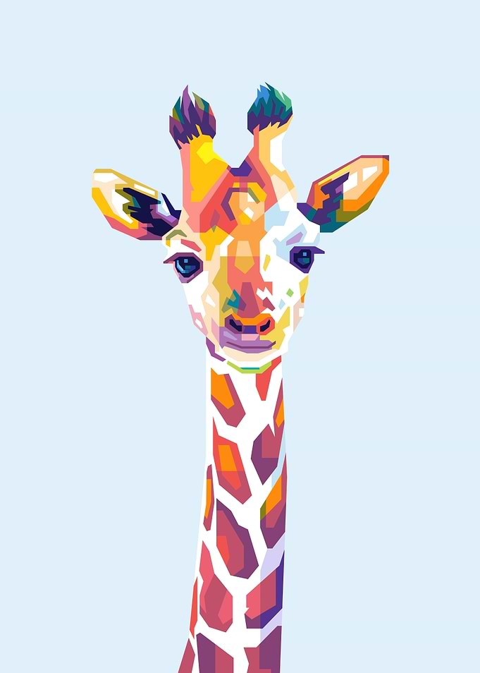 Baby Giraffe