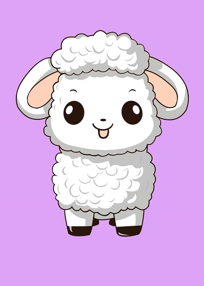 sheep baby animal