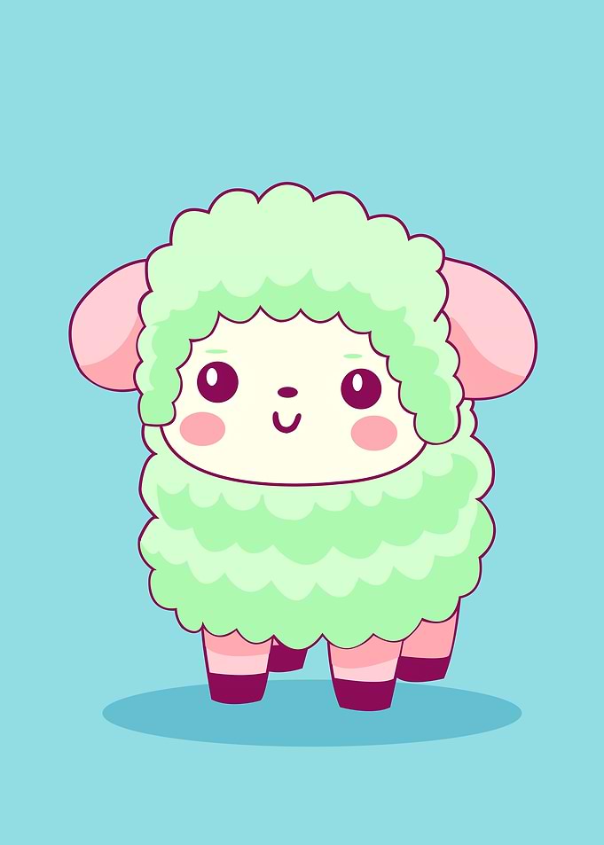 sheep baby animal