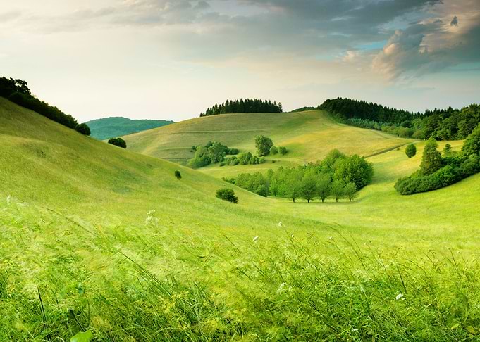 GREEN HILL