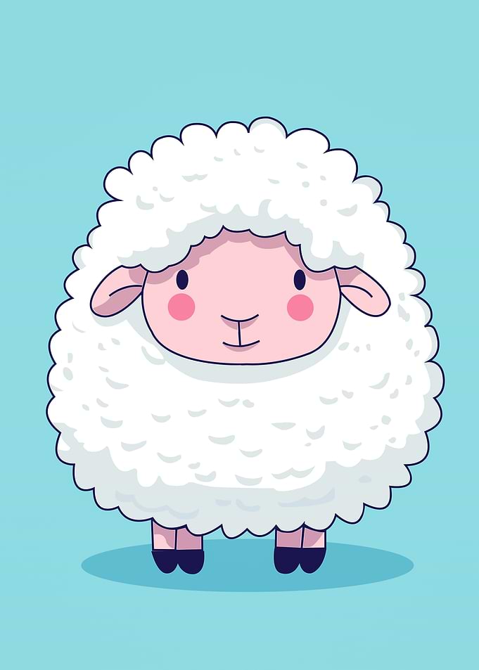 sheep baby animal