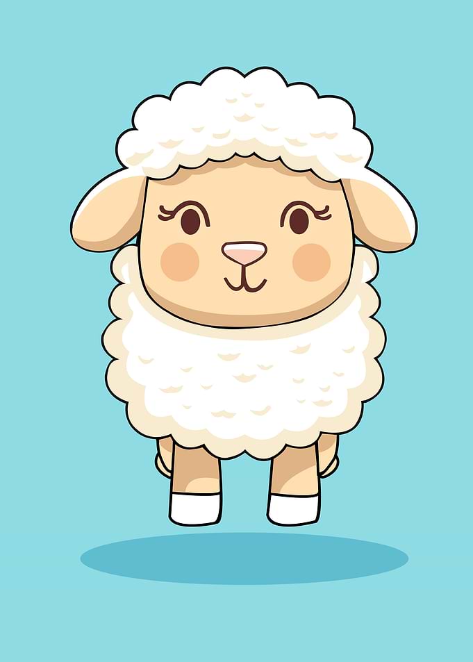 sheep baby animal