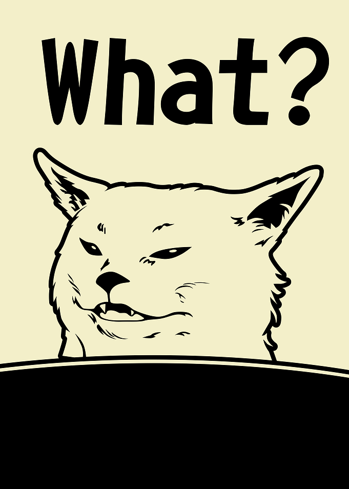 Woman Yelling at a Cat 4