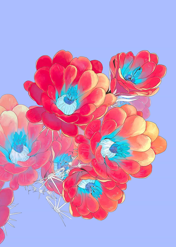 Red cactus flower
