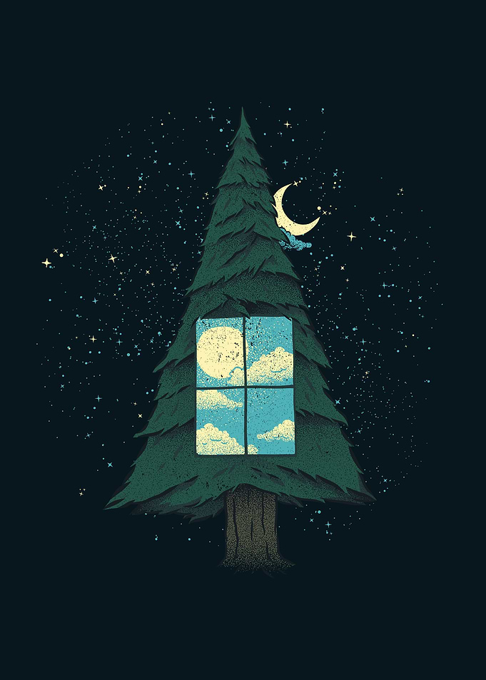 Go Outside To Look Inside