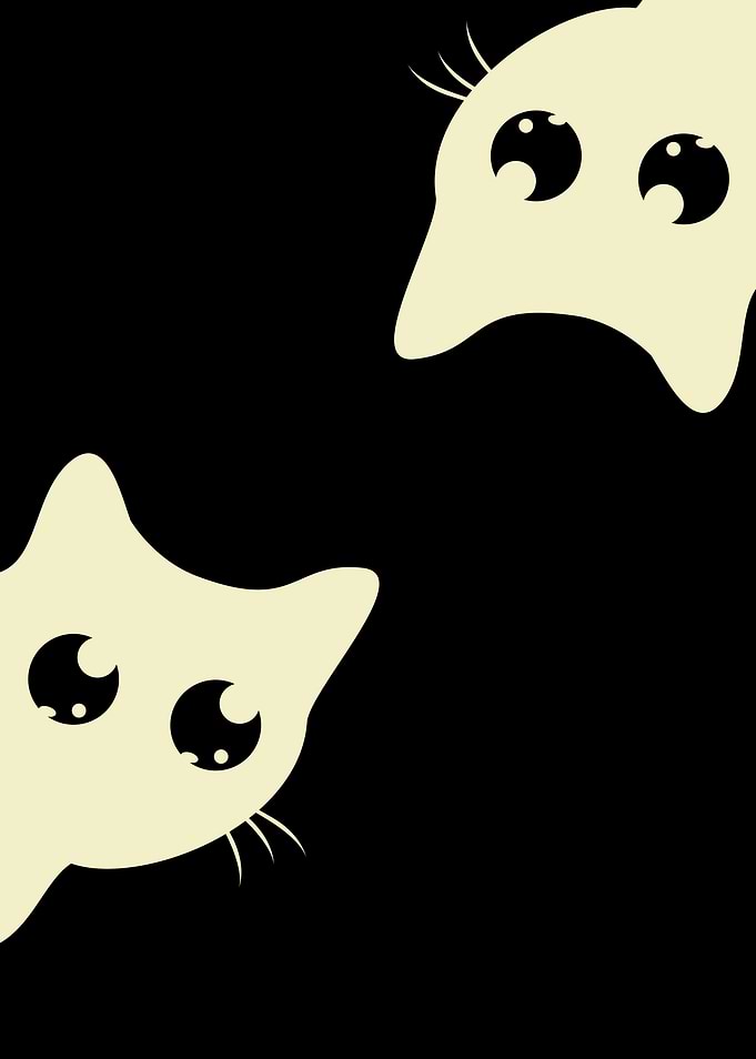 Two White Cats