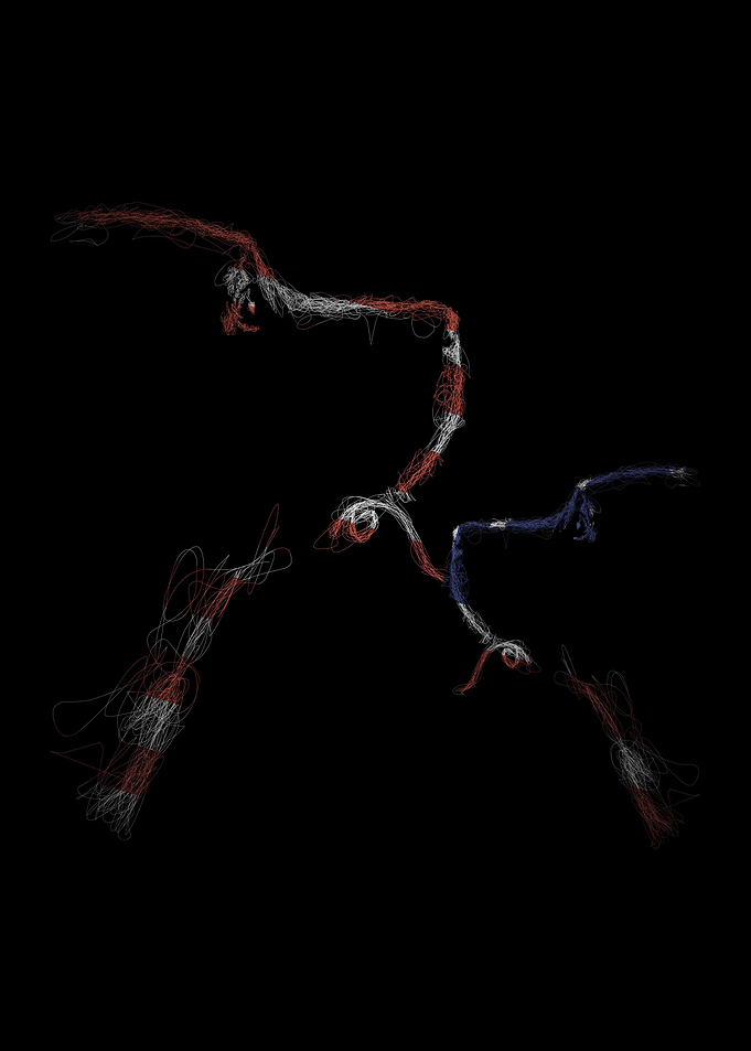 Couple Dog flag