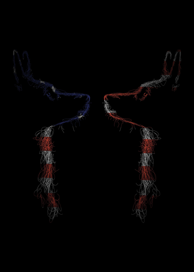 Couple Dog flag