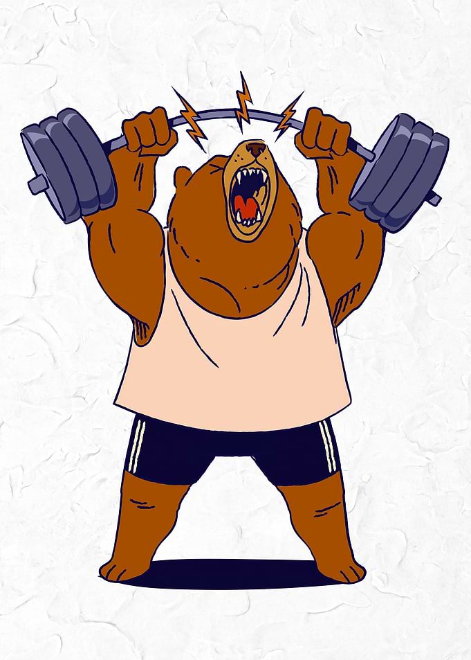 Muscular Bear