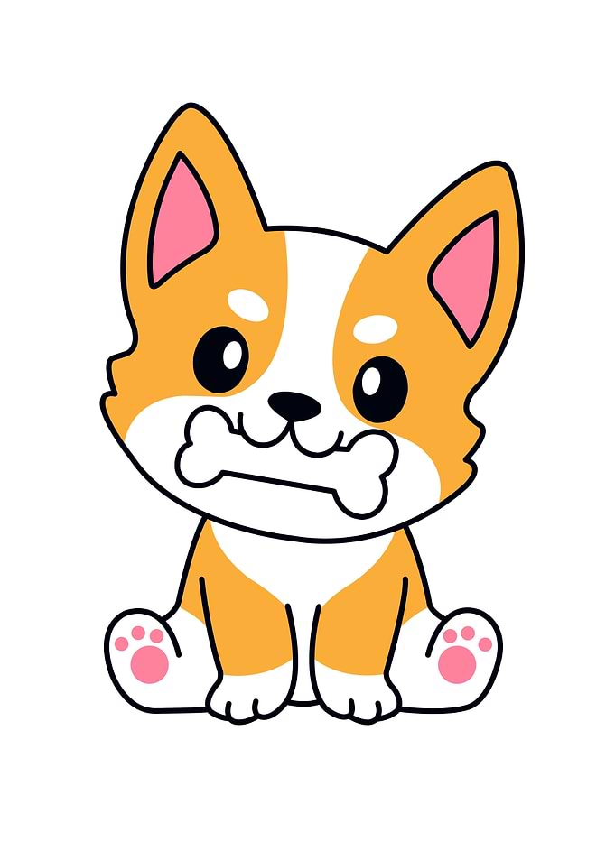 dog cute animal