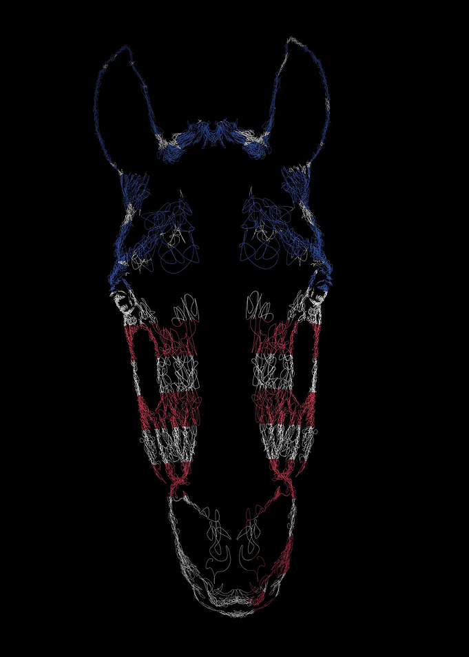 Horse flag