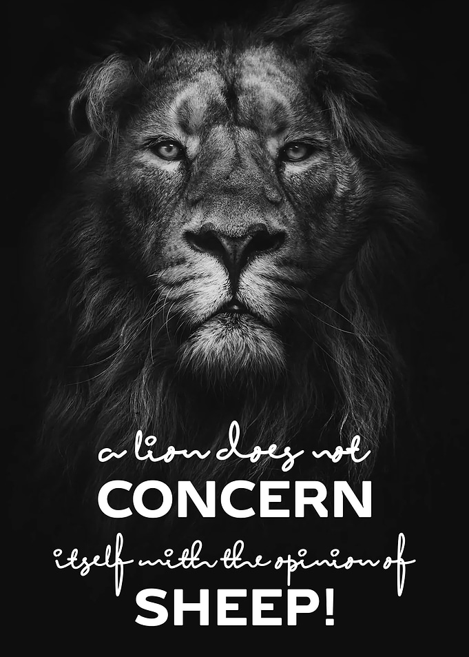 motivational quotes