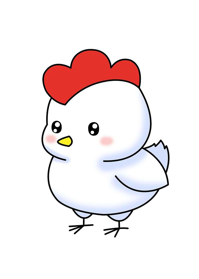 chicken cute animal