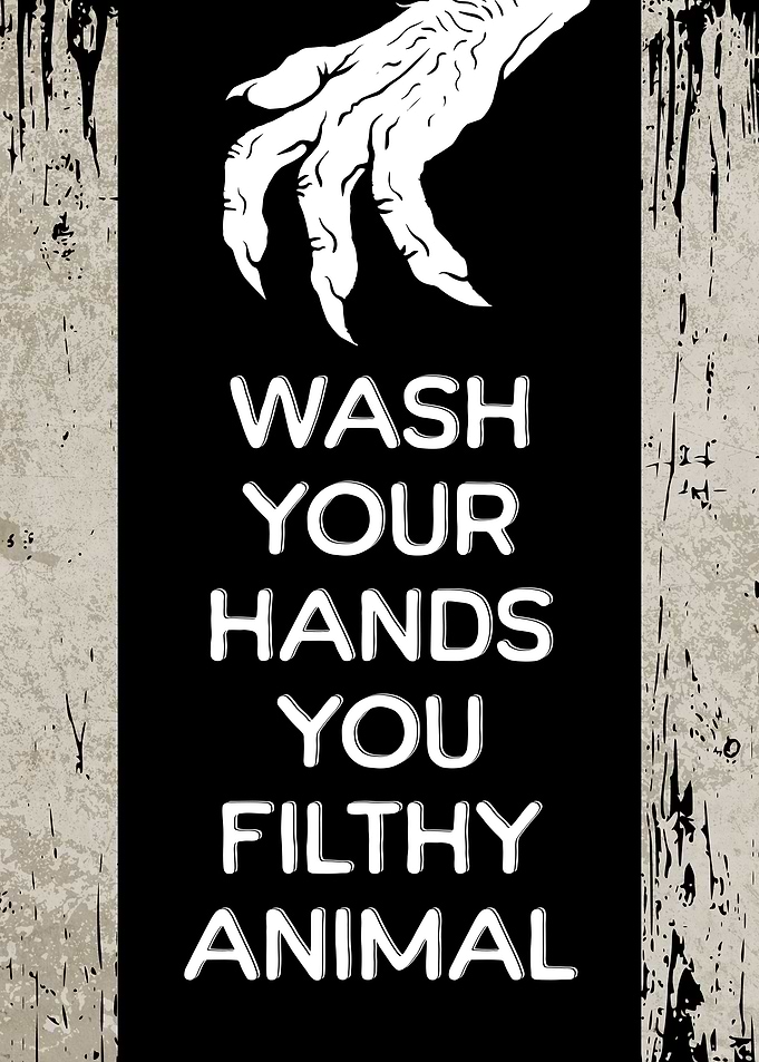 Wash Your Hands Funny Loo