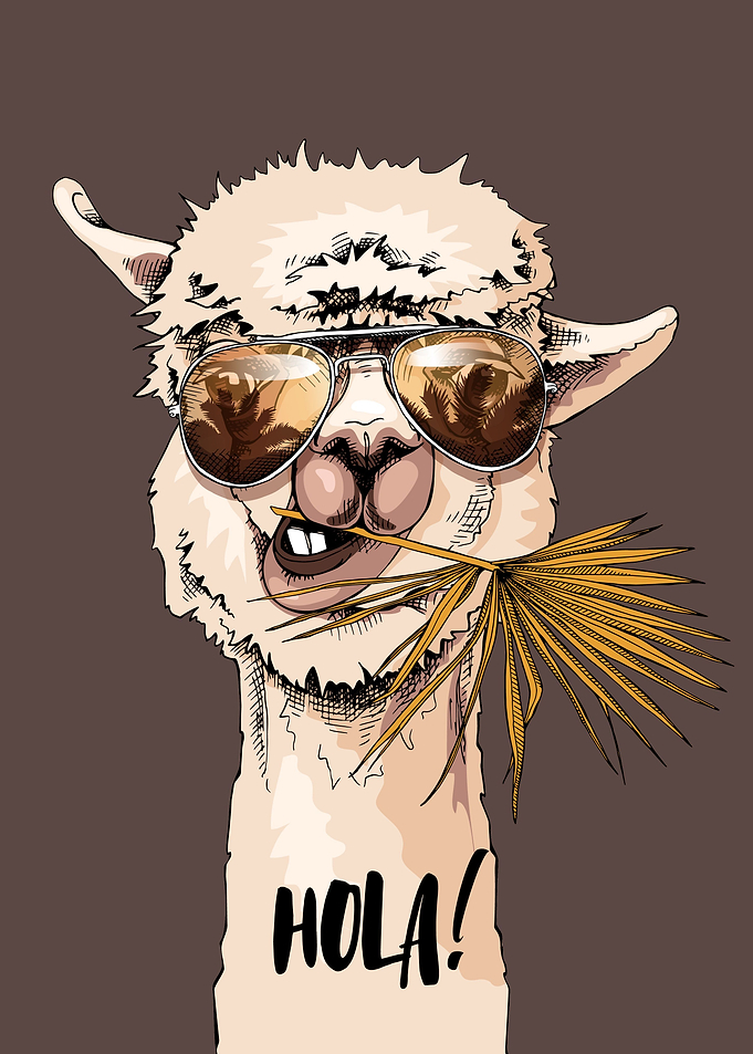 Llama