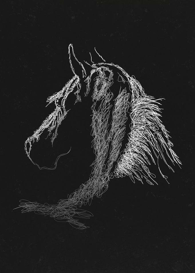 Horse