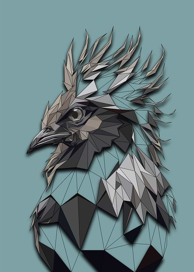 Rooster Half Wireframe