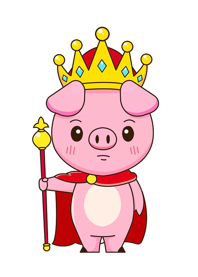 pig cute animal