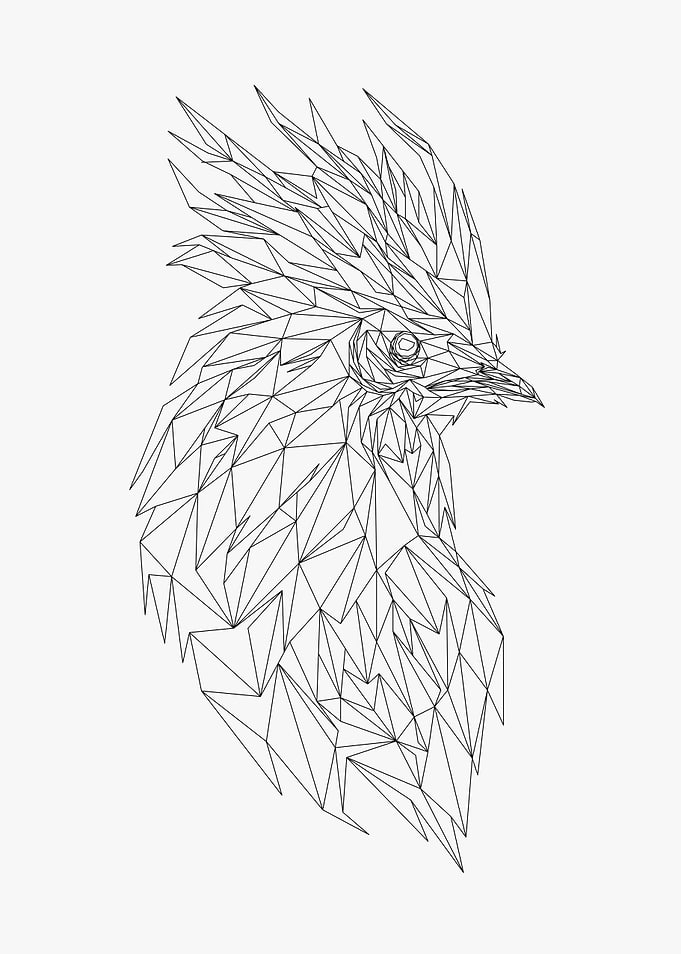 Rooster Low Poly Wireframe