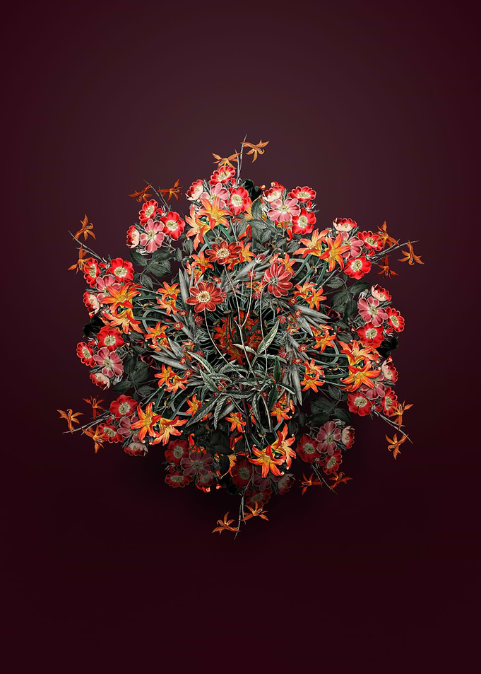 Cosmos Flower Wreath