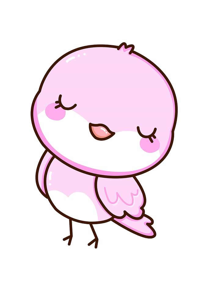 bird cute animal