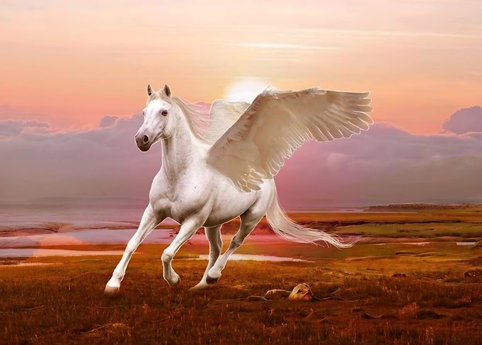 Pegasus
