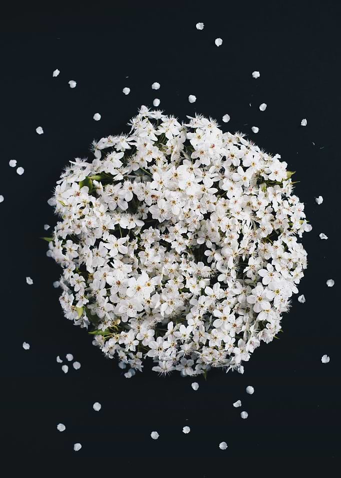 White Flower