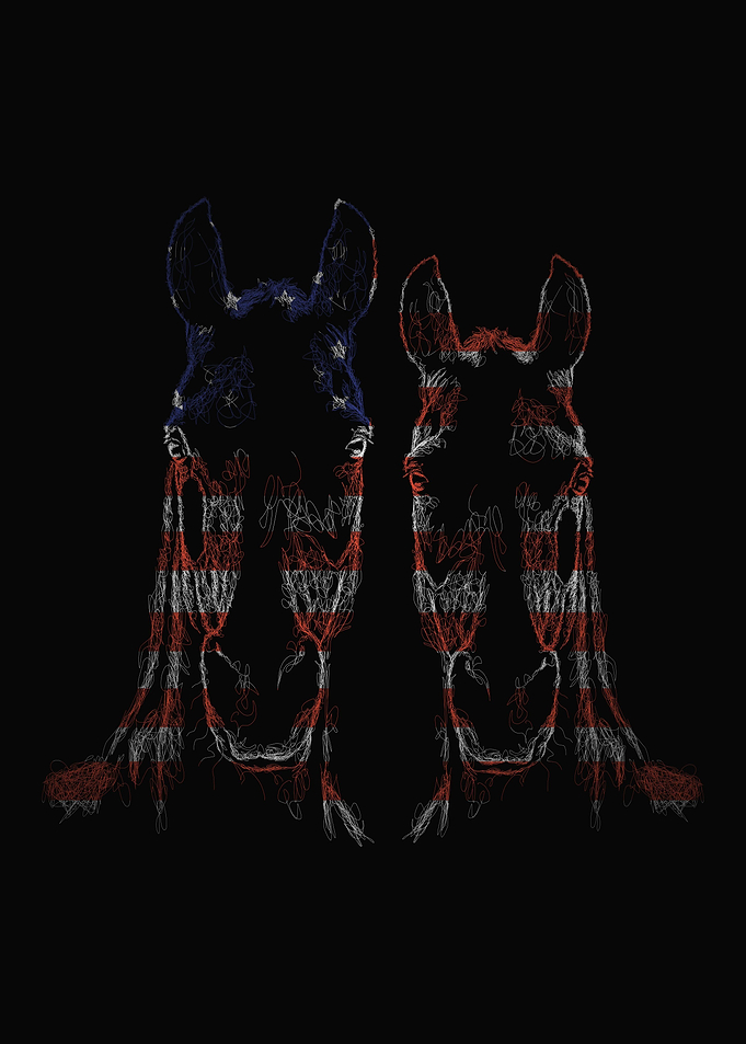 Horse flag