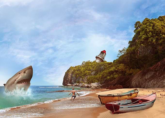 Shark The Sea Predator