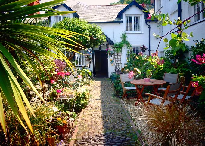 Clovelly rare front garden