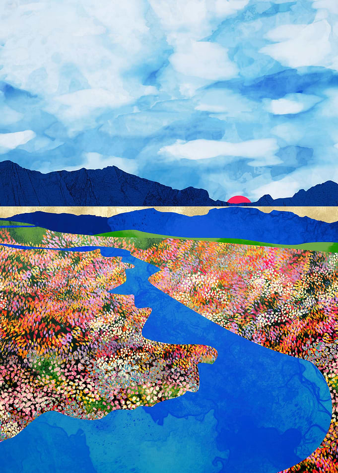Flower Field Stream