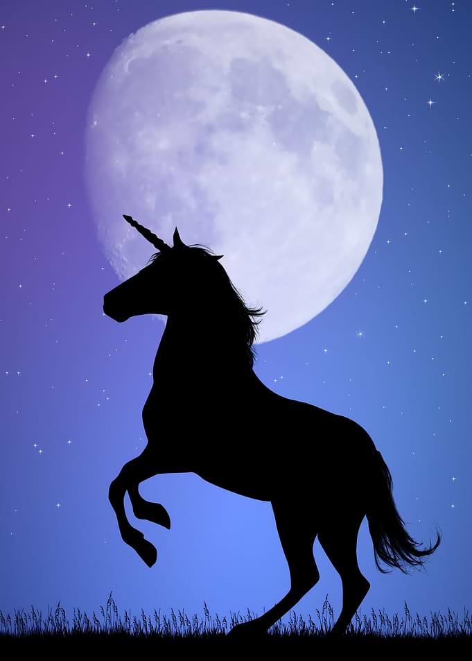 Unicorn Horse Fantasy