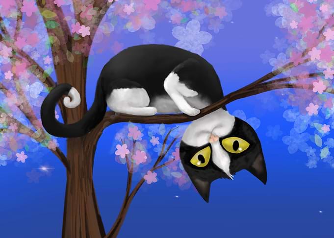 A cat in a tree
