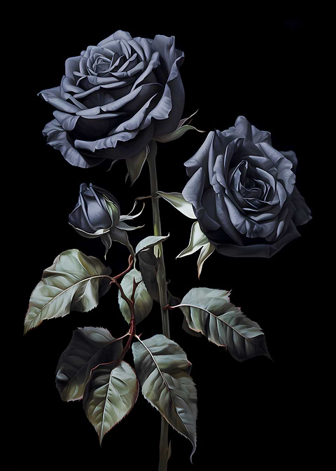 Black Rose Print — living room metal wall art