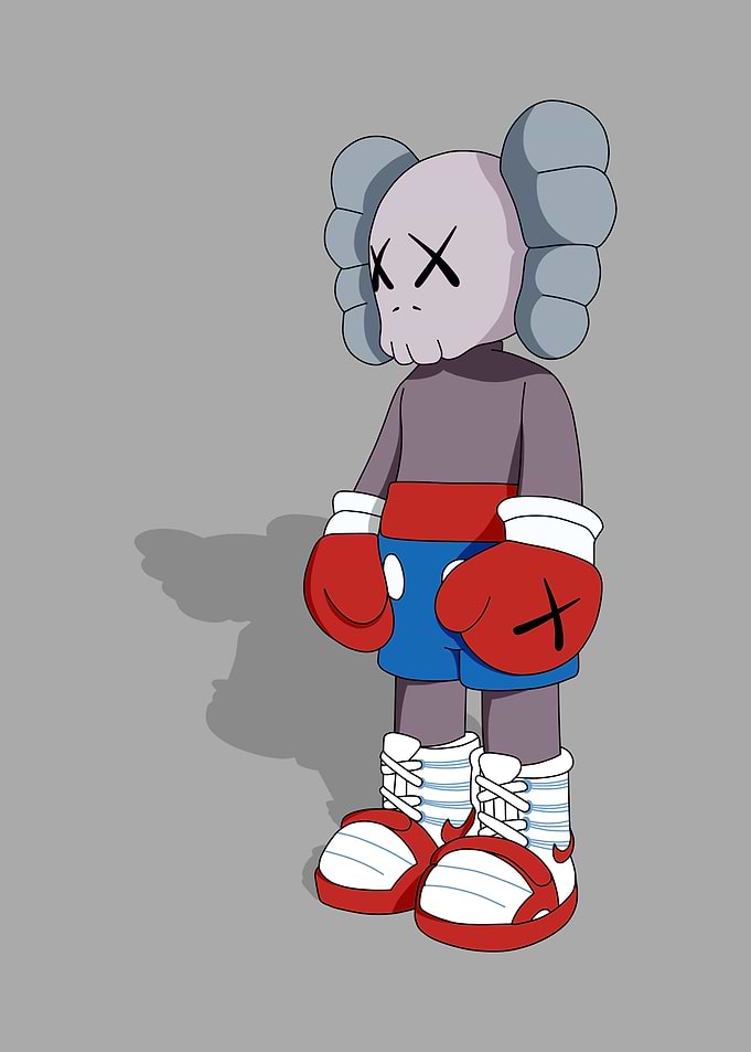 the fighter kaws