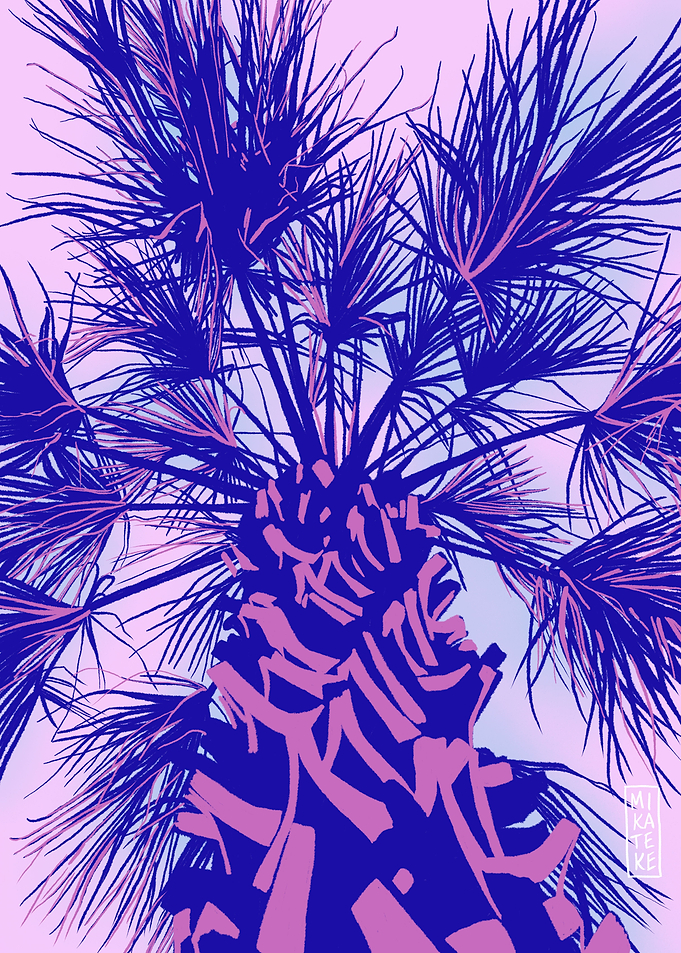 Palm Tree