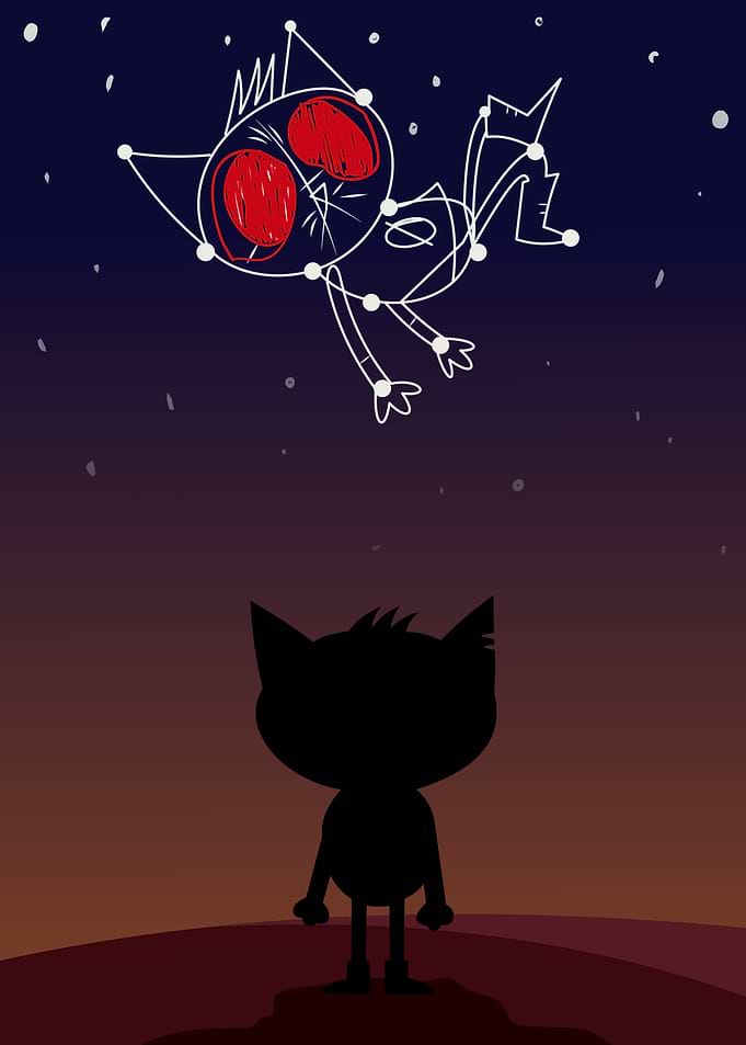 Night In The Woods