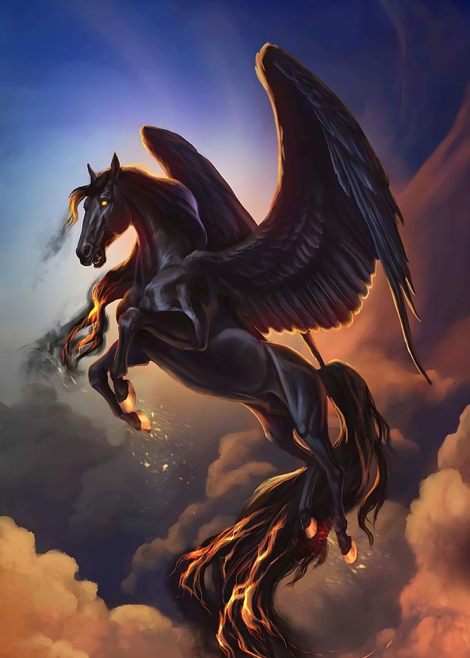dark pegasus