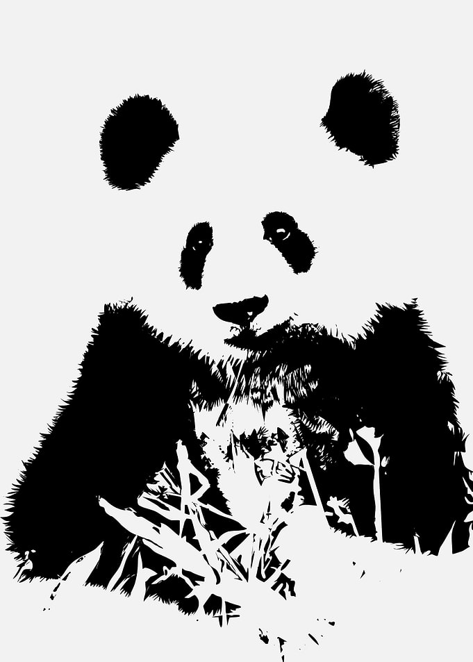 panda