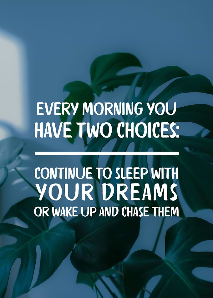 Wake up and chase
