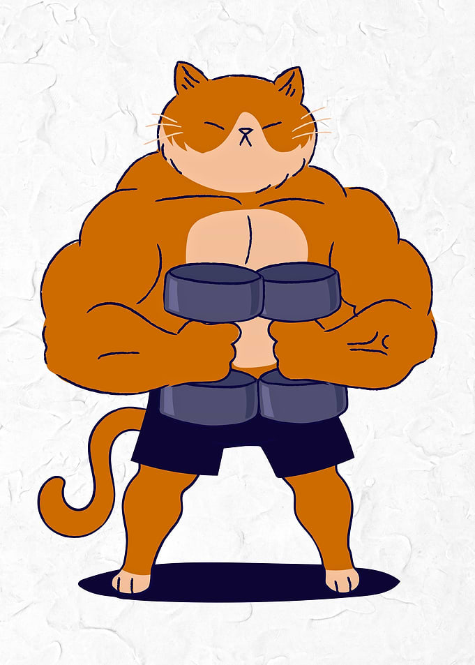 Muscular Cat