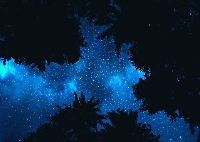 The Night
